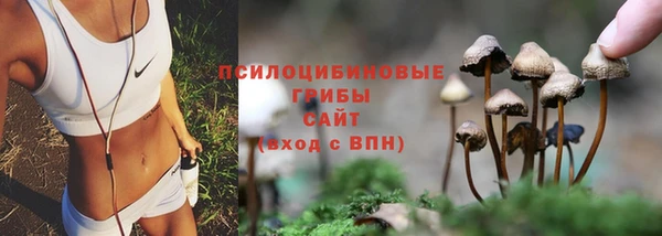 синтетический гашиш Абинск