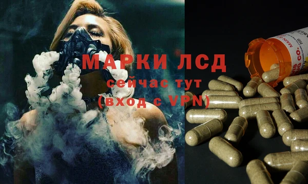 стафф Карталы