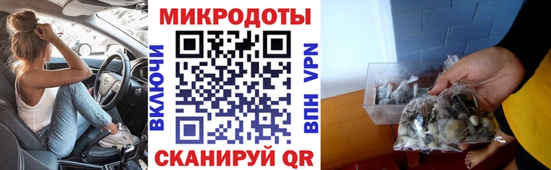 купить   Чекалин  маркетплейс Telegram  Псилоцибиновые грибы GOLDEN TEACHER 